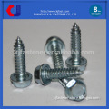 Hot Selling High Technology Screw Nails